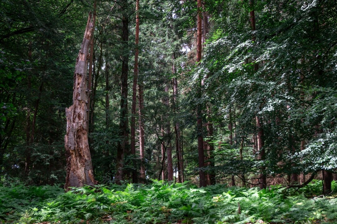Bioeconomy Trends Shaping Finland's Future in 2025