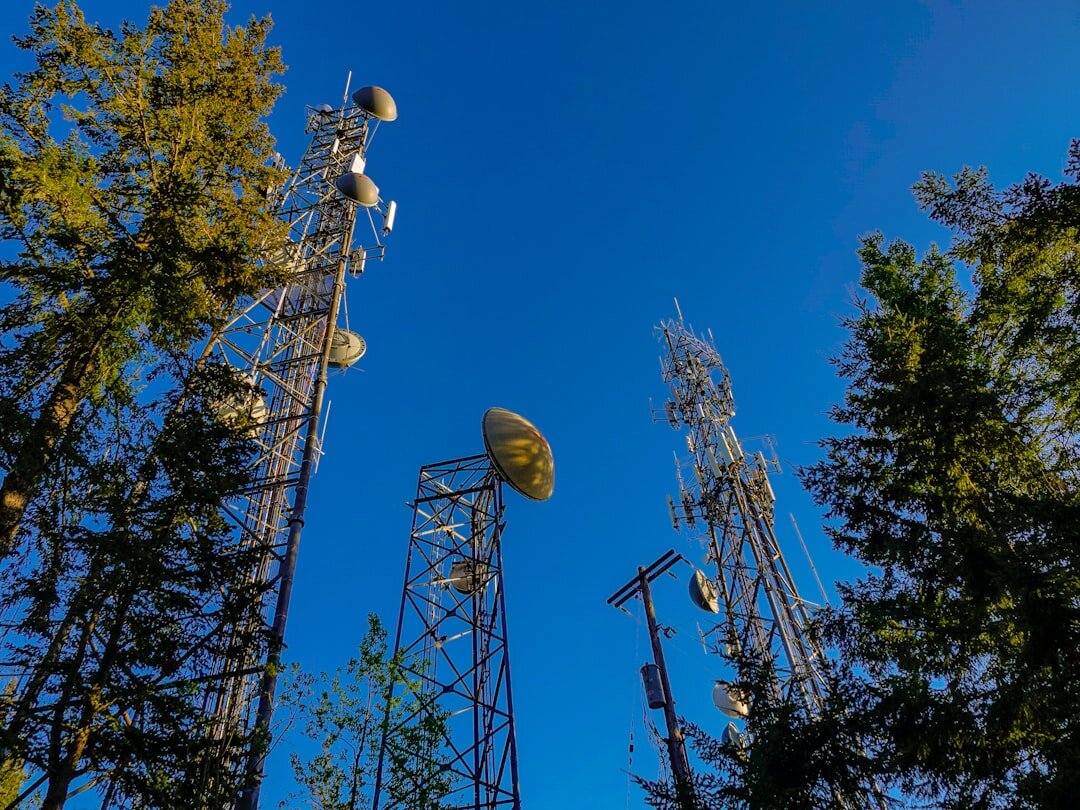 Digital Transformation in Finnish Forest Management