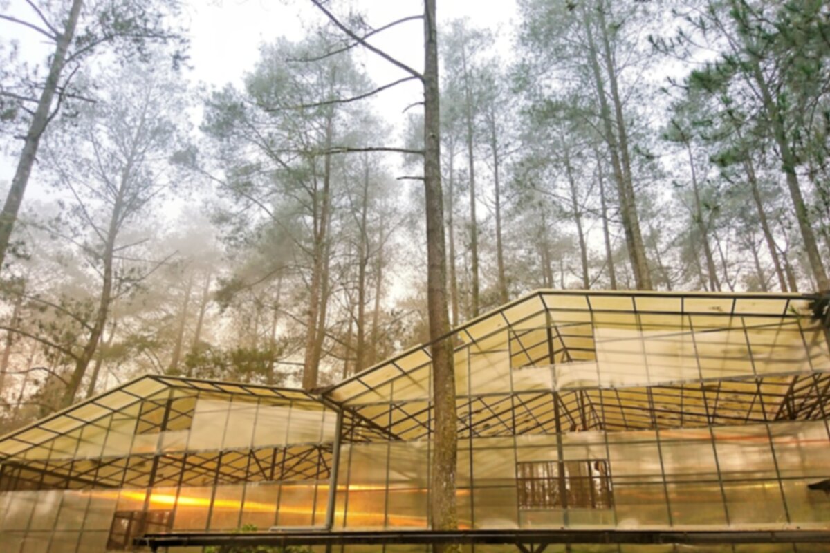 Advancing Forest Sciences Research for Sustainable Bioeconomy