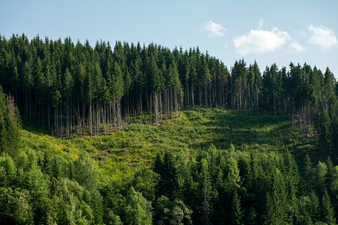 Climate-Smart Forest Management Initiative